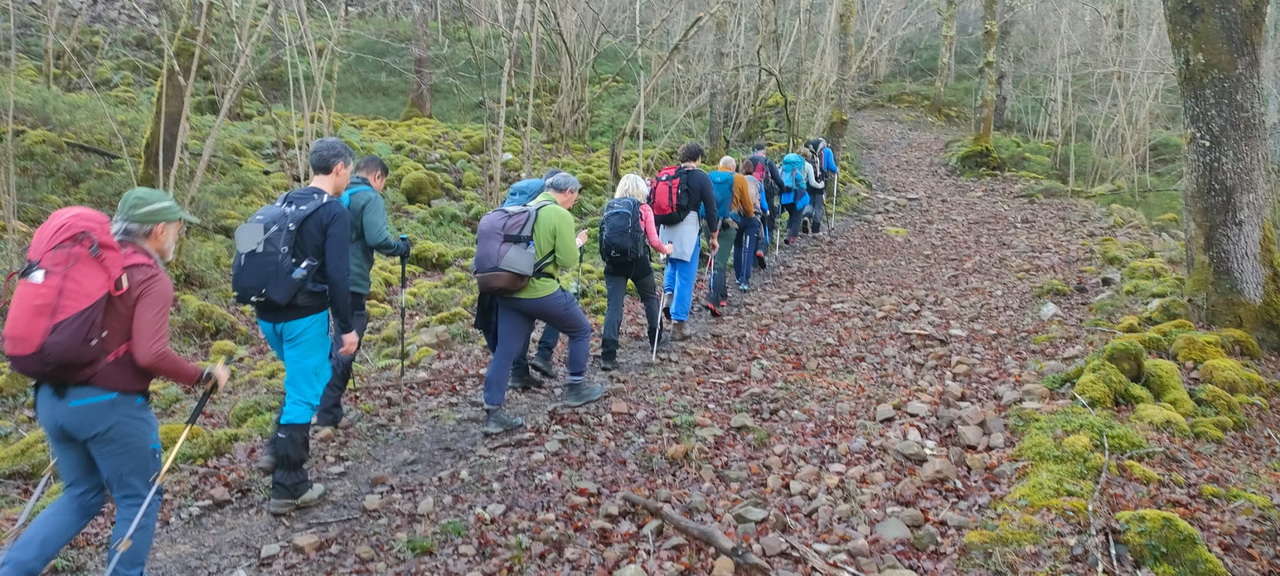 WhatsApp Image 2026-03-08 at 21.27.44 (1)